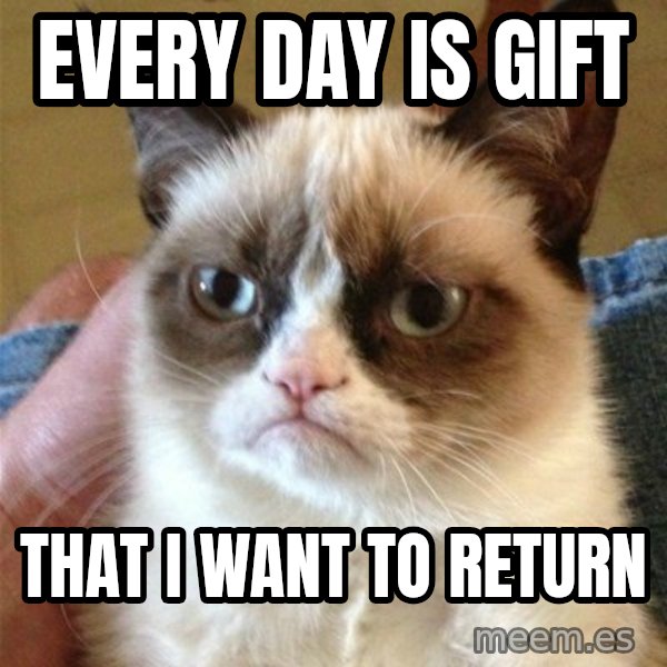 Grumpy Cat  meme: Every day is gift / That i want to return