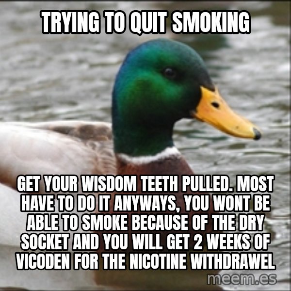 Actual Advice Mallard 1 meme: tRYING TO QUIT SMOKING / gET YOUR WISDOM TEETH PULLED. MOST HAVE TO DO IT ANYWAYS, YOU WONT BE ABLE TO SMOKE BECAUSE OF THE DRY SOCKET AND YOU WILL GET 2 WEEKS OF VICODEN FOR THE NICOTINE WITHDRAWEL