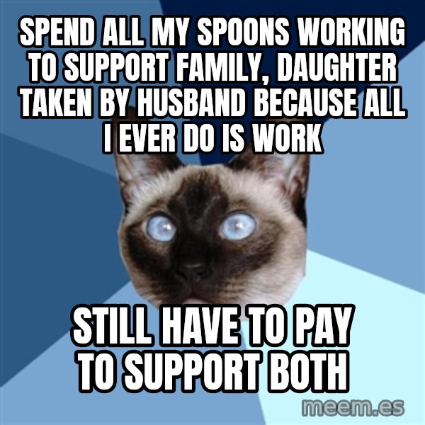 Chronic Illness Cat meme: Spend all my spoons working to support family, daughter taken by husband because all I ever do is work / still have to pay to support both
