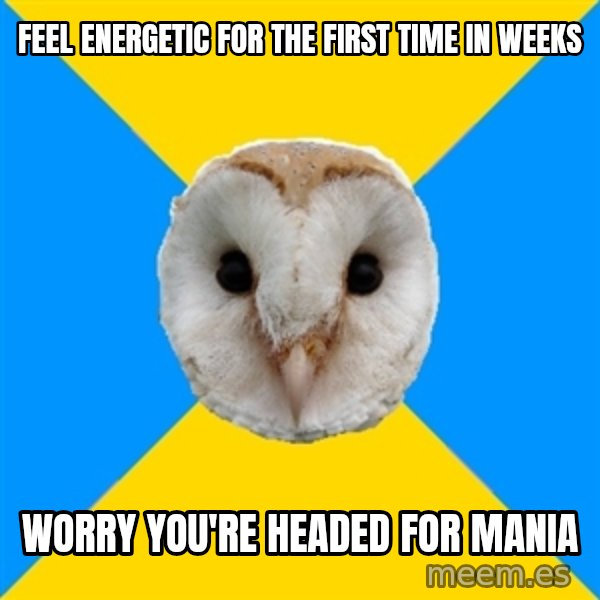 Bipolar Owl meme: feel energetic for the first time in weeks / worry you're headed for mania