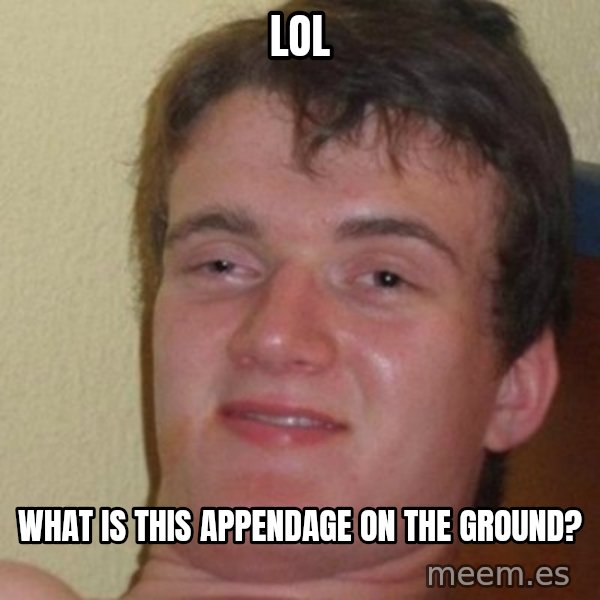 really high guy meme: LOL / WHAT IS THIS APPENDAGE ON THE GROUND?