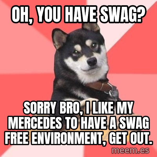 Cool Dog meme: oh, you have swag? / sorry bro, i like my mercedes to have a swag free environment, get out.