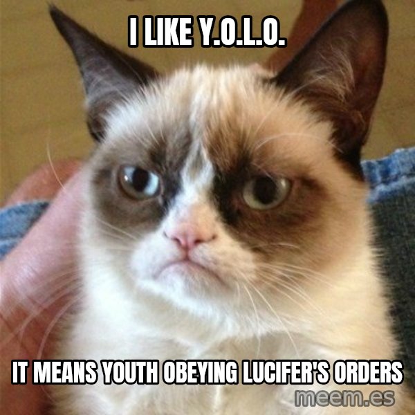 Grumpy Cat  meme: i like y.o.l.o. / it means youth obeying lucifer's orders