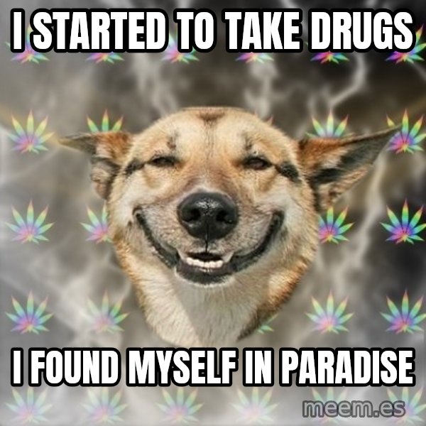 Stoner Dog meme: i started to take drugs / i found myself in paradise