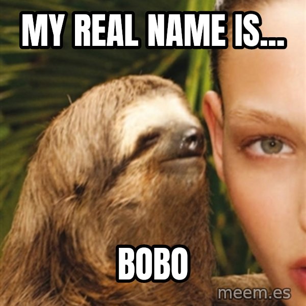 The Rape Sloth meme: My Real Name iS... / BOBO