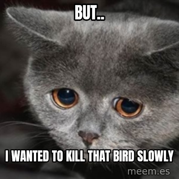 Sadcat meme: But.. / I wanted to kill that bird slowly