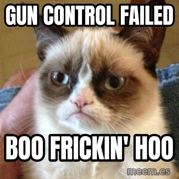 Grumpy Cat  meme: Gun Control Failed / Boo Frickin' Hoo