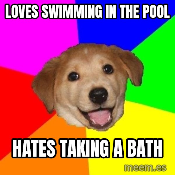 Advice Dog meme: LOves swimming in the pool / hates taking a bath