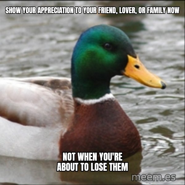 Actual Advice Mallard 1 meme: SHOW YOUR APPRECIATION TO YOUR FRIEND, LOVER, OR FAMILY NOW / NOT WHEN YOU'RE      ABOUT TO LOSE THEM