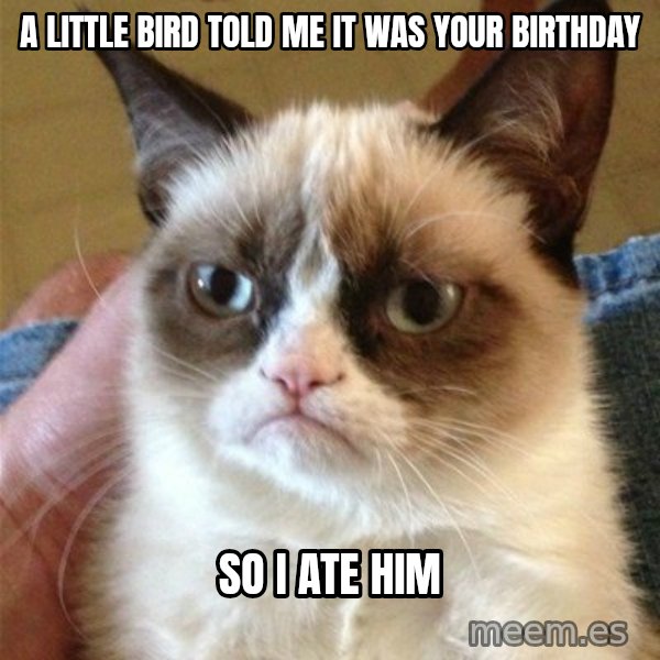 Grumpy Cat  meme: a little bird told me it was your birthday / so i ate him