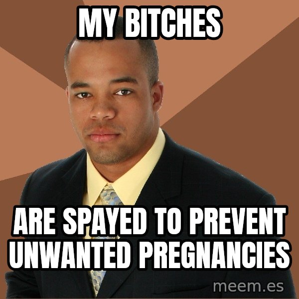 Successful Black Man meme: my bitches / are spayed to prevent unwanted pregnancies