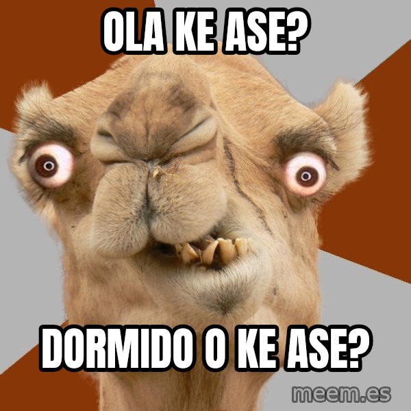 Crazy Camel lol meme: OLA KE ASE? / DORMIDO O KE ASE?
