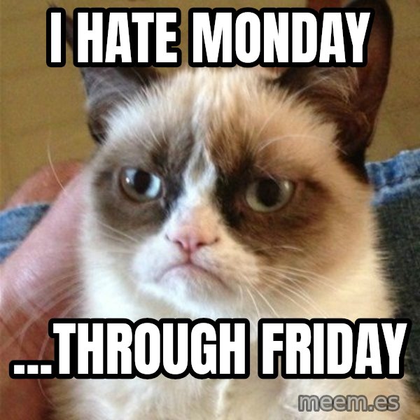 Grumpy Cat  meme: I hate monday / ...through friday
