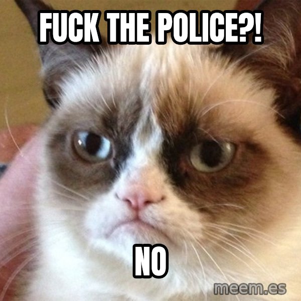 Angry Cat Meme meme: fuck the police?! / no
