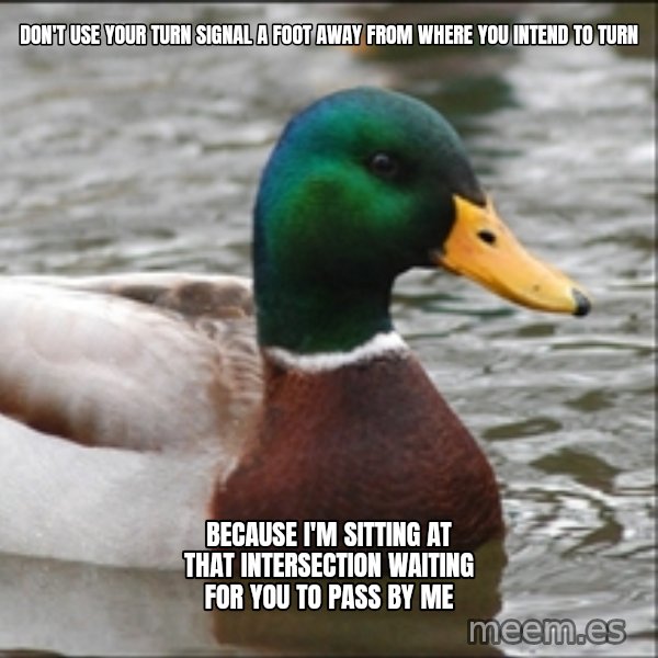 Actual Advice Mallard 1 meme: don't Use your turn signal a foot away from where you intend to turn / Because i'm sitting at that intersection waiting for you to pass by me