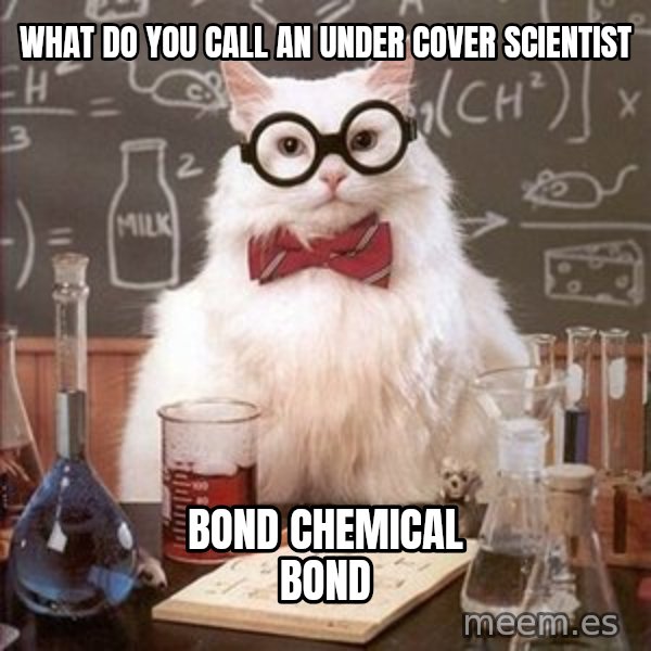 Chemistry Cat meme: What do you call an under cover scientist / bond chemical bond