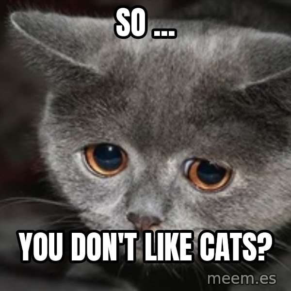 Sadcat meme: So ... / you don't like cats?