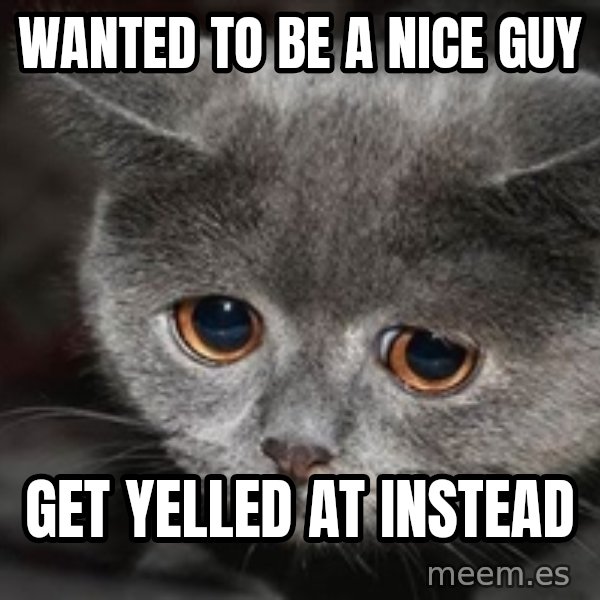 Sadcat meme: wanted to be a nice guy / get yelled at instead
