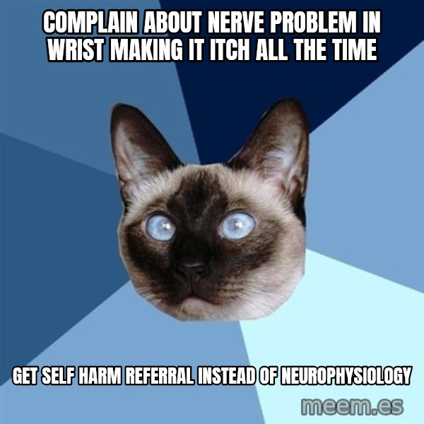 Chronic Illness Cat meme: Complain about nerve problem in wrist making it itch all the time / Get self harm referral instead of neurophysiology