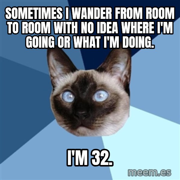 Chronic Illness Cat meme: Sometimes I wander from room to room with no idea where I'm going or what I'm doing. / I'm 32.