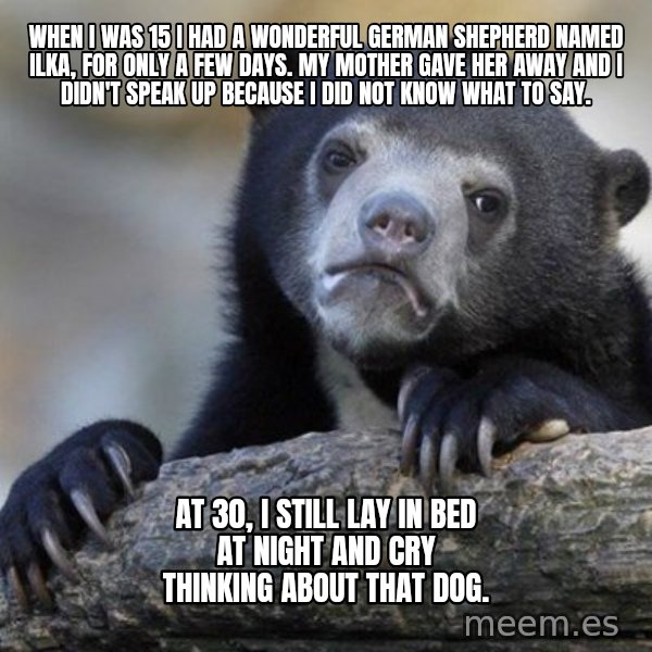 Confession Bear meme: When I was 15 I had a wonderful german shepherd named ilka, for only a few days. My mother gave her away and I didn't speak up because I did not know what to say. / At 30, I still lay in bed at night and cry thinking about that dog.