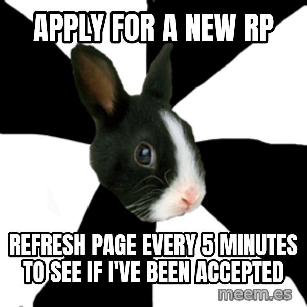 Roleplaying Rabbit meme: Apply for a new rp / refresh page every 5 minutes to see if i've been accepted