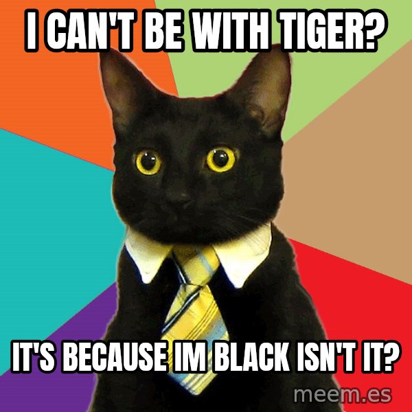 Business Cat meme: i can't be with tiger? / it's because im black isn't it?