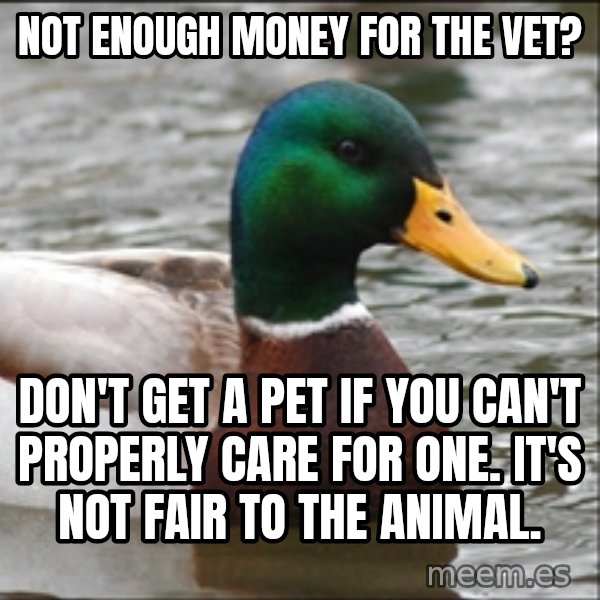 Actual Advice Mallard 1 meme: Not enOugh money for the Vet? / Don't get a pet if you can't properly Care for one. it's not Fair to the animal.