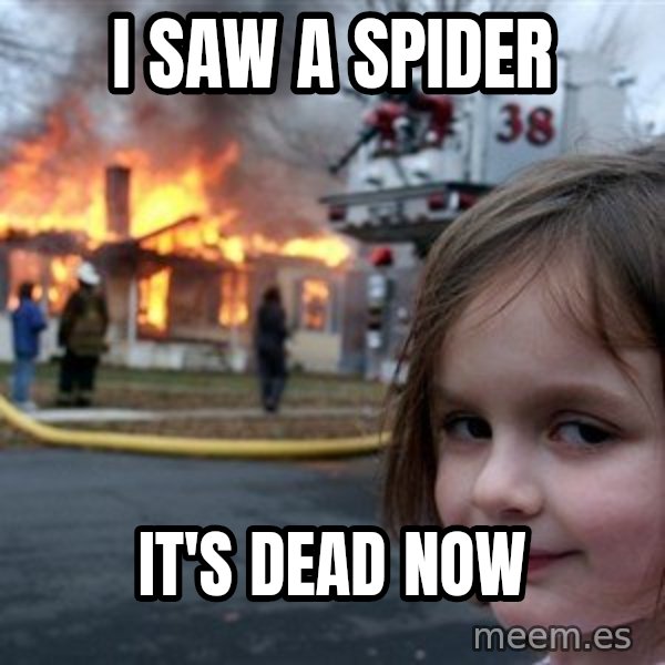 Disaster Girl meme: I saw a spider / it's dead now