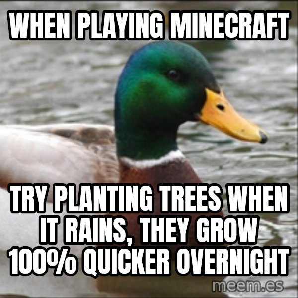 Actual Advice Mallard 1 meme: When playing Minecraft / Try planting trees when it rains, they grow 100% quicker overnight