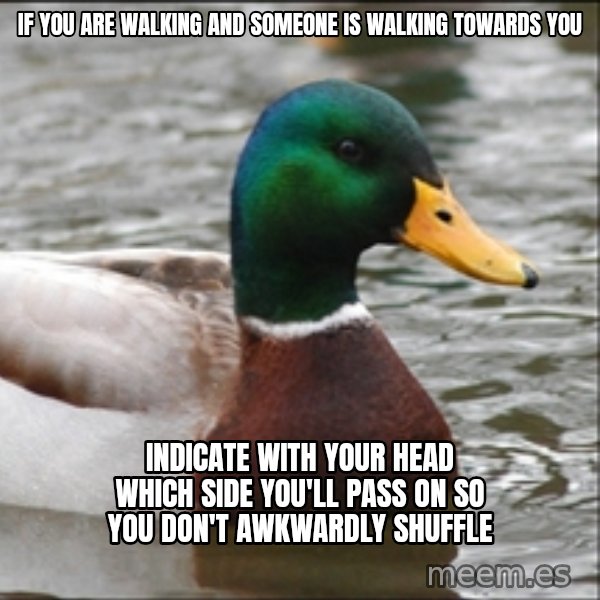 Actual Advice Mallard 1 meme: If you are walking and someone is walking towards you / indicate with your head which side you'll pass on so you don't awkwardly shuffle