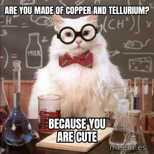 Chemistry Cat meme: Are you made of Copper and Tellurium? / Because you are cUte