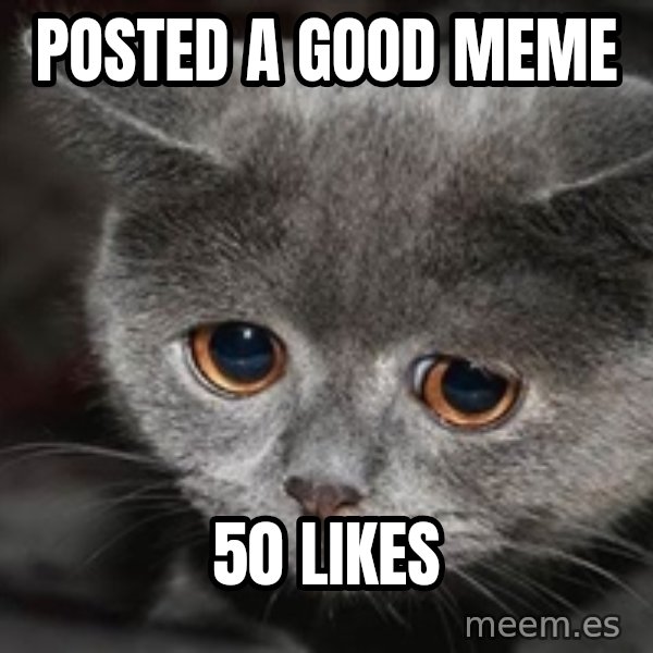 Sadcat meme: Posted a good meme / 50 likes