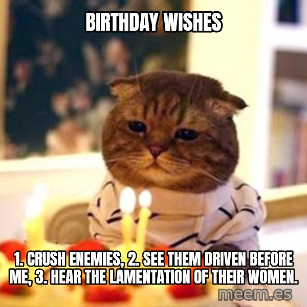 Birthday Cat meme: Birthday WishES / 1. crush enemies, 2. see them driven before ME, 3. hear the lamentation of their women.