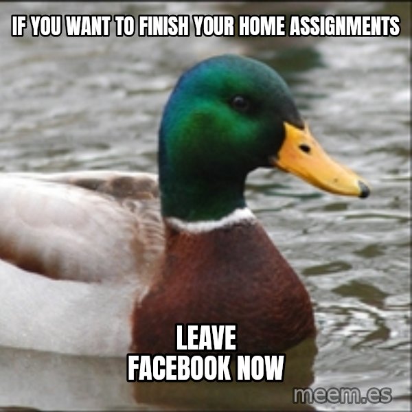 Actual Advice Mallard 1 meme: If you want to finish your home assignments / Leave facebook now
