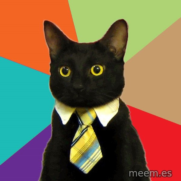 Business Cat meme: 