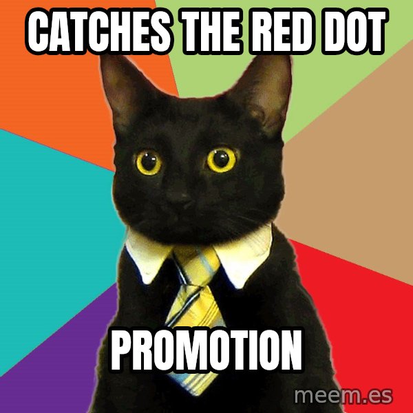 Business Cat meme: Catches the red dot / promotion