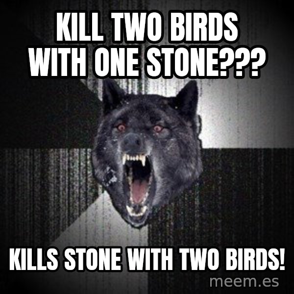 Insanity Wolf meme: Kill two birds with one stone??? / Kills stone with two birds!