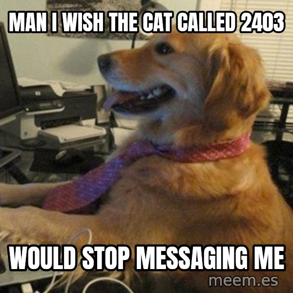 I have no idea what I'm doing - Dog with Tie meme: MAN I WISH THE CAT CALLED 2403 / WOULD STOP MESSAGING ME