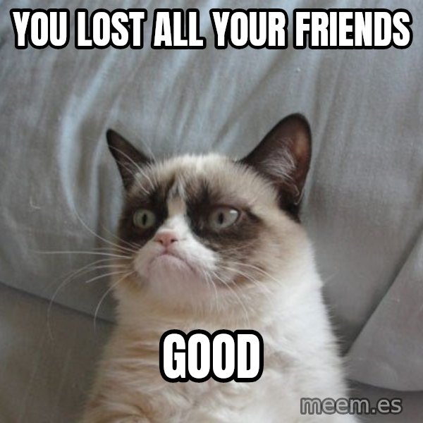 Grumpy cat good meme: you lost all your friends / good