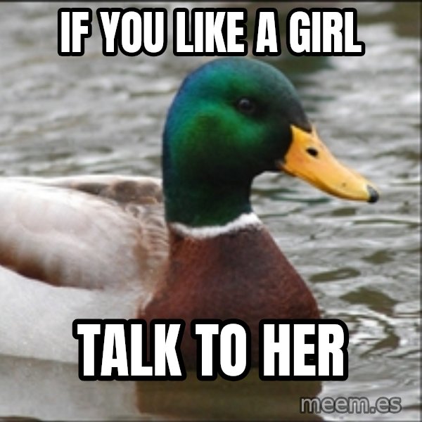 Actual Advice Mallard 1 meme: if you like a girl / talk to her