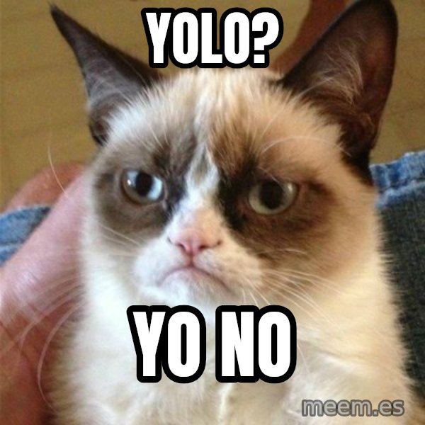 Grumpy Cat  meme: yolo? / yo no