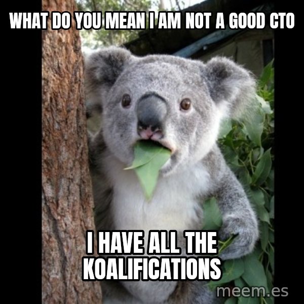 Koala can't believe it meme: what do you mean I am not a good cto / I have all the Koalifications