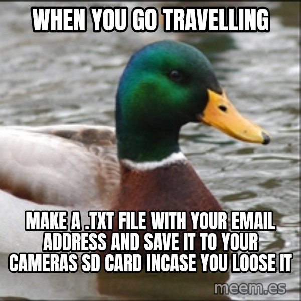 Actual Advice Mallard 1 meme: when you go travelling / make a .txt file with your email address and save it to your cameras SD card incase you loose it