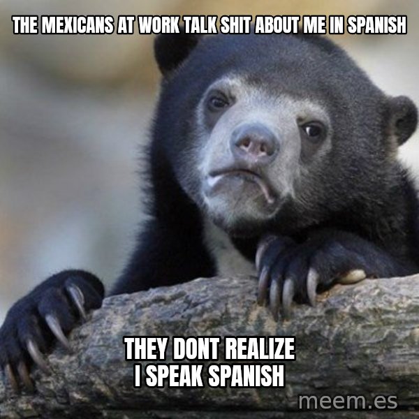 Confession Bear meme: The mexicans at work talk shit about me in spanish / They dont realize i speak spanish