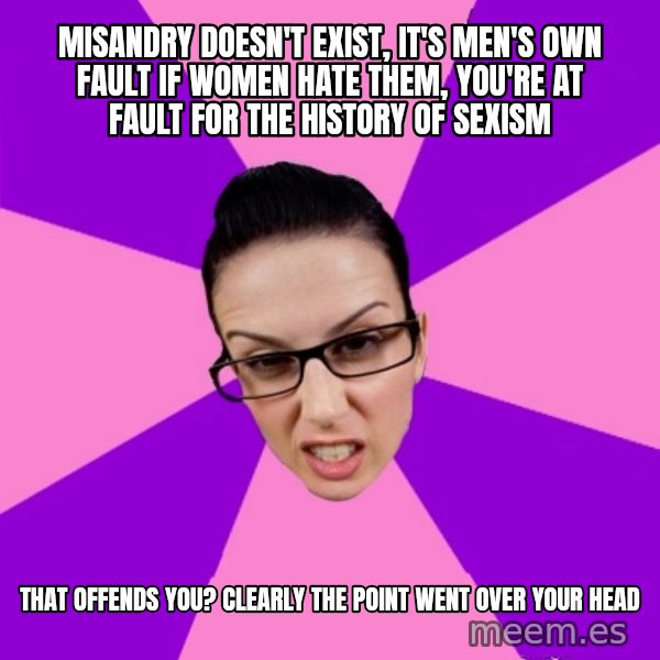 Privilege Denying Feminist meme: misandry doesn't exist, it's men's own fault if women hate them, you're at fault for the history of sexism / that offends you? clearly the point went over your head