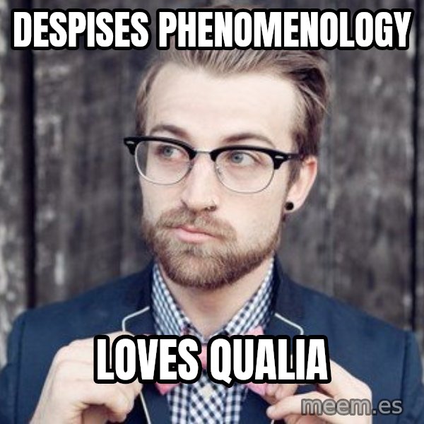 Scumbag Analytic Philosopher meme: Despises Phenomenology / Loves qualia