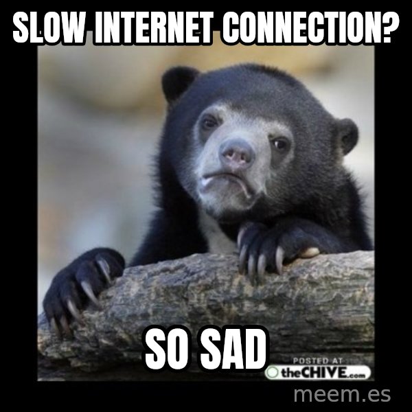 sad bear meme: slow internet connection? / so sad
