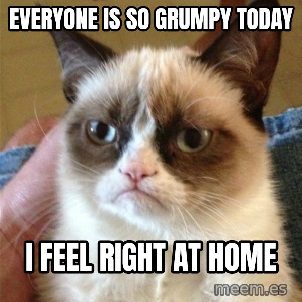 Grumpy Cat  meme: EveryONE IS SO GRUMPY TODAY / I FEEL RIGHT AT HOME
