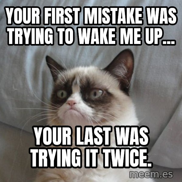 Grumpy cat good meme: Your First mistake was trying to wake me up... / Your last was trying it twice.